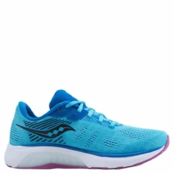 Guide 14 Blue Blaze/berry