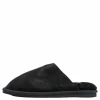 Haukur Black