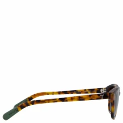 Havana Frank
