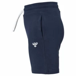 Hmlbassim Shorts Black Iris