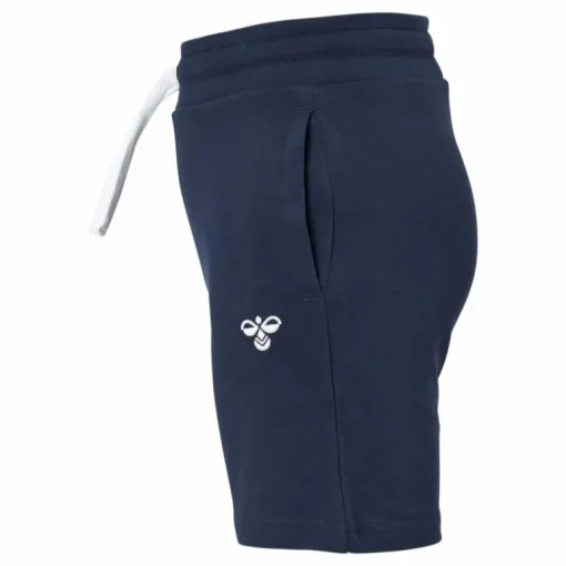 Hmlbassim Shorts Black Iris