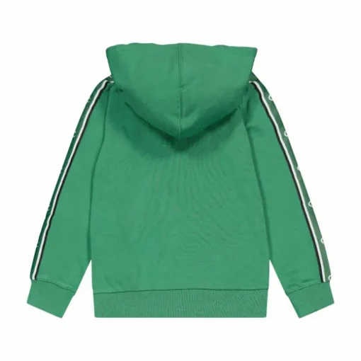 Hooded Sweatshirt Foliage Green