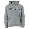 Hooded Sweatshirt Gray Melange Light
