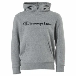 Hooded Sweatshirt Gray Melange Light