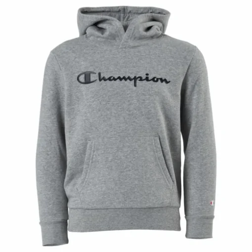 Hooded Sweatshirt Gray Melange Light