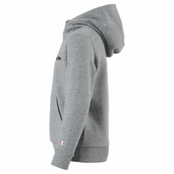 Hooded Sweatshirt Gray Melange Light