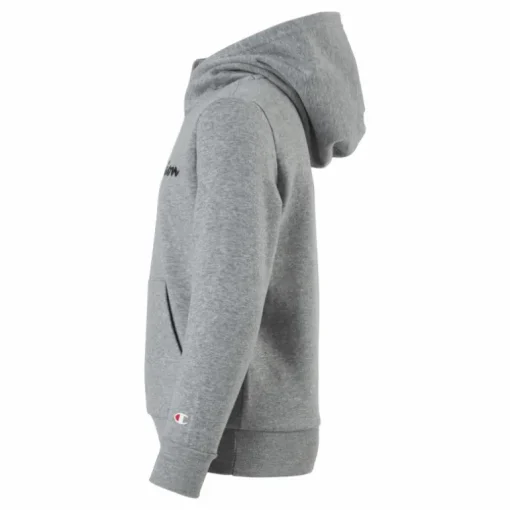 Hooded Sweatshirt Gray Melange Light