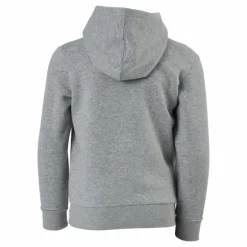 Hooded Sweatshirt Gray Melange Light
