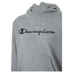 Hooded Sweatshirt Gray Melange Light