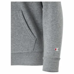 Hooded Sweatshirt Gray Melange Light