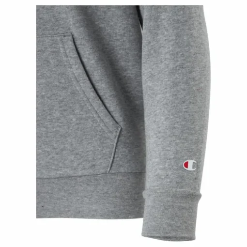 Hooded Sweatshirt Gray Melange Light