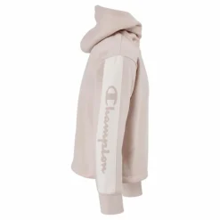 Hooded Sweatshirt Ps075