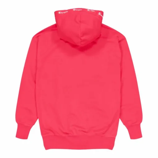 Hooded Sweatshirt Teaberry
