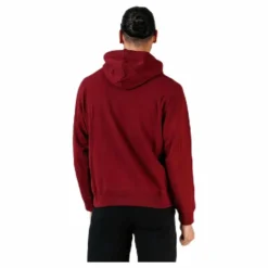 Iconic Twill Hoodie Purple