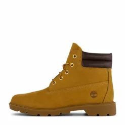 6in Wr Basic Wht Wheat