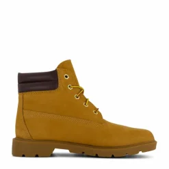 6in Wr Basic Wht Wheat