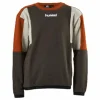 Junior Sander Sweatshirt Orange/Green