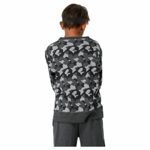 Junior Trevor Crewneck Patterned/Grey
