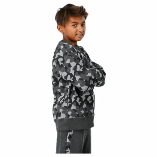 Junior Trevor Crewneck Patterned/Grey