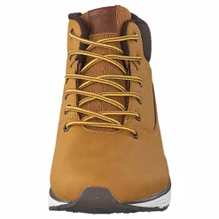 Kodiak Dark Yellow/dark Brown