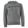 Legacy Hoodie Junior Grey