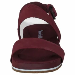 Malibu Waves 2 Band Sandal Burgundy