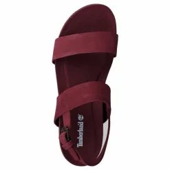 Malibu Waves 2 Band Sandal Burgundy