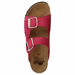 Moldava Wedge Red
