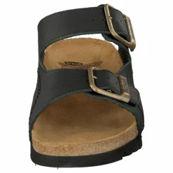 Moldava WG Ad Oiled