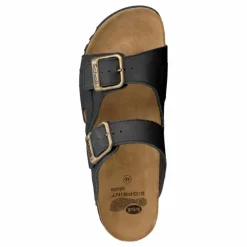 Moldava WG Ad Oiled