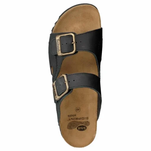 Moldava WG Ad Oiled