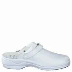 New Bonus White