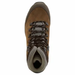Oxo GT Brown