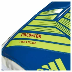 Predator Training Blue/Yellow