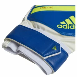 Predator Training Blue/Yellow