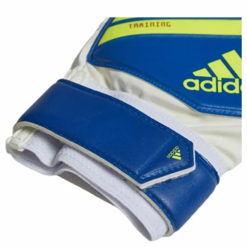 Predator Training Blue/Yellow