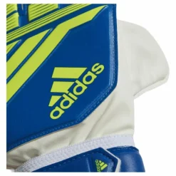 Predator Training Blue/Yellow