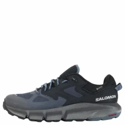 Predict Hike Gtx Ebony/black/stormy Weather