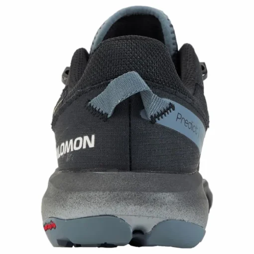 Predict Hike Gtx Ebony/black/stormy Weather