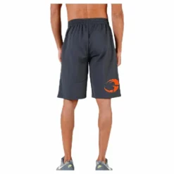 Pro mesh shorts Grey