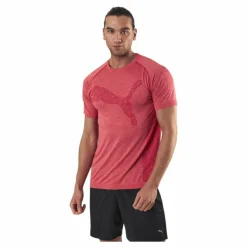 RTG Evoknit Tee Red