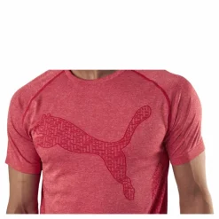 RTG Evoknit Tee Red