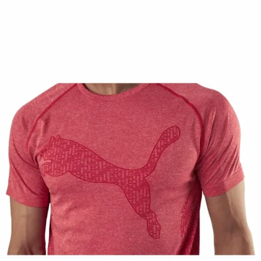 RTG Evoknit Tee Red