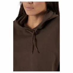 Sb Hoodie Earth Brown
