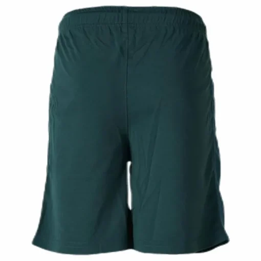 Shorts X-Cool Green