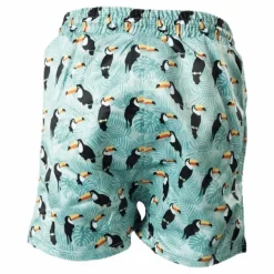 Solig Swim Shorts Green