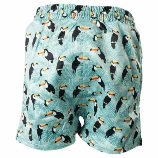 Solig Swim Shorts Green