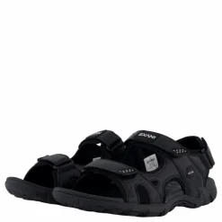 Spider Pro Black