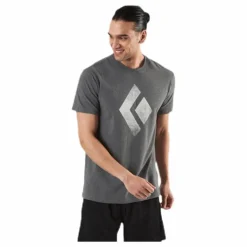 SS Chalked Up Tee Grey