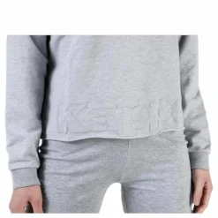 Sweat Hood, Logo Biba Grey
